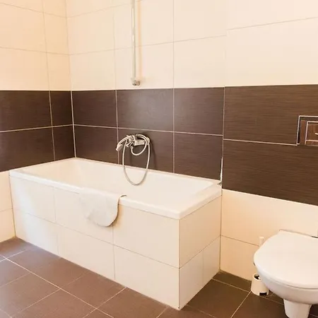 Lion In Historical Center, Old Town *