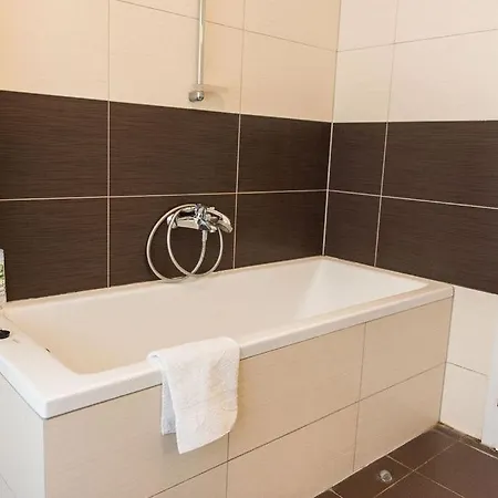 Lion In Historical Center, Old Town *