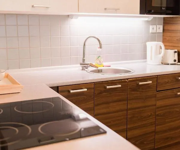 Appartement Lion In Historical Center, Old Town