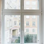 Apartment Lion In Historical Center, Old Town