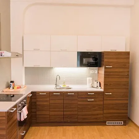 Apartment Lion In Historical Center, Old Town *