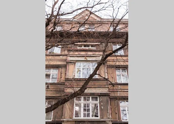 Lion In Historical Center, Old Town