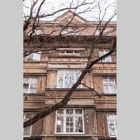 Lion In Historical Center, Old Town