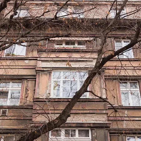Lion In Historical Center, Old Town *